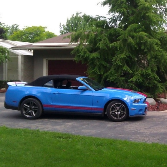 Meet your Posher, Geno - Picture 1 of 1